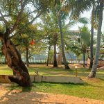 Riverine House – A serene riverside retreat offering cozy, comfortable stays with stunning backwater views and modern amenities at Riverine Homestay.